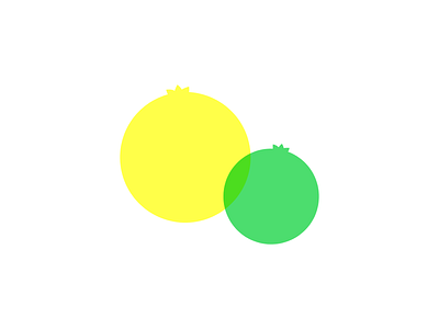 Lemon & Lime design illustration minimal vector