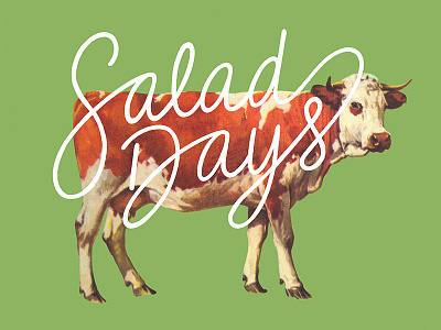 Salad Days animals lettering music type
