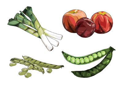 Charred Fruit and Vegetables broad beans food illustration leeks peas posh bbq stonefruit stylist