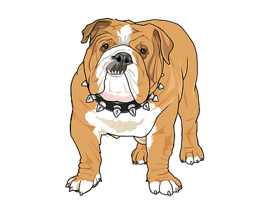 Bulldog bulldog dogs illustration intel processor metaphors