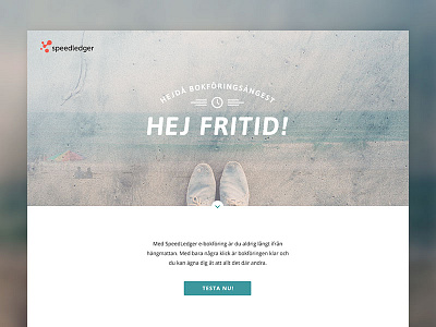 SpeedLedger Landing Page
