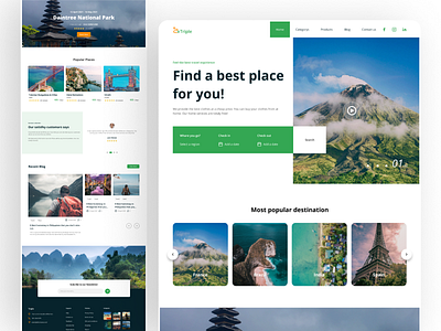 Triple - Travel website landing page UI design