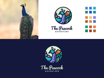 The Peacock Logo adventure beauty bird branding cartoon character design emblem icon illustration lineart logo peacock symbol vector