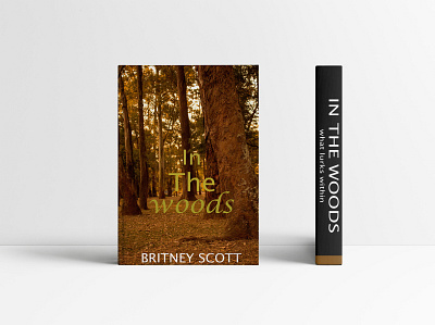 INTHEWOODSBOOKCOVER book bookcoverdesign branding design storybook