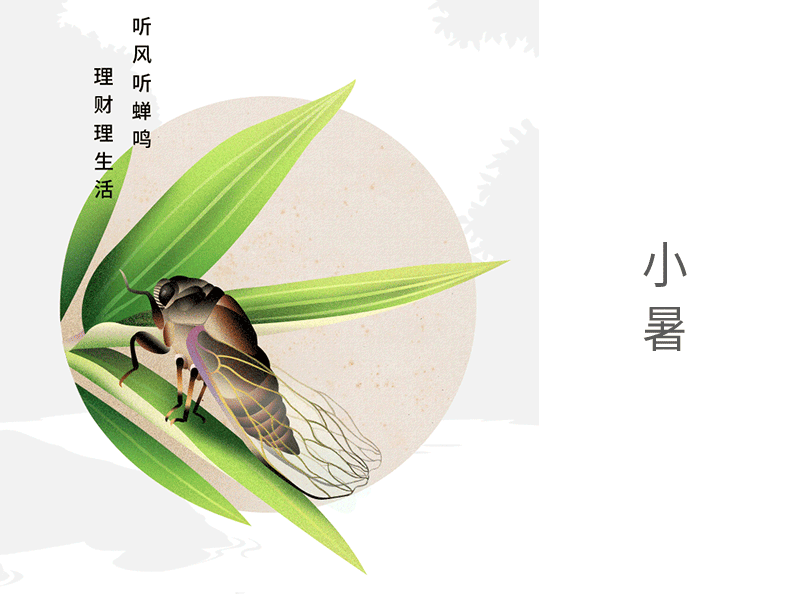 小暑 chinese cicada solar terms