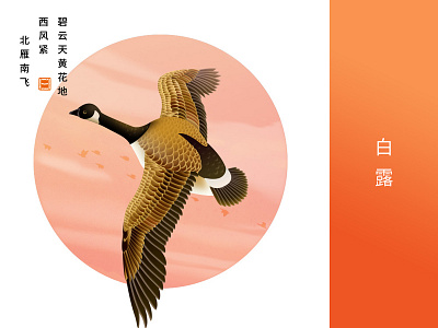 二十四节气——白露 autumn bird time
