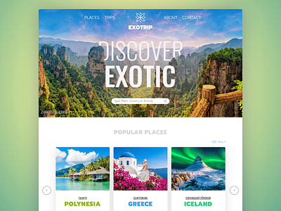 Exotrip Web Design interface logo site ui web web design