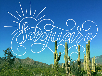 Saguaro cacti cactus design hand lettering lettering phoenix saguaro script swash swirl type typography
