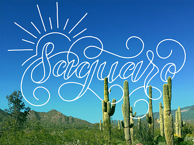 Saguaro