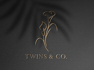 Twins & Co. | Logo Design artworks branding custom design digital graphic illustration logo marketing social media