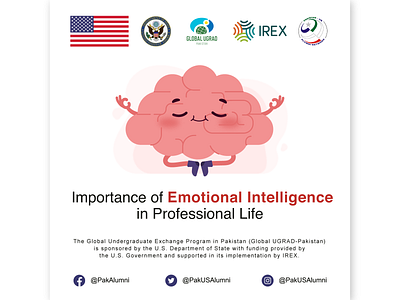 Importance of Emotional Intelligence in Professional Life. graphic design illustrator volunteer