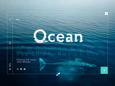 Tours Booking to Kamchatka, meet Whales art booking design illustration photo travel ui