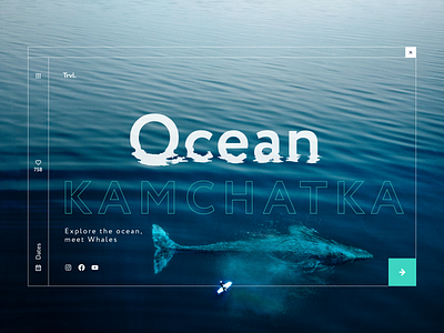 Tours Booking to Kamchatka, meet Whales