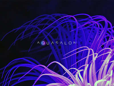 Logo Design AQUASALON aqua branding fish identity identity branding logo logo design logotype marine salon sea water