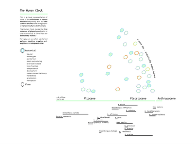 human clock light mode data visulization design education educational app graphic design information design interaction design interface interface design science science and technology typography ui ux vector visual design