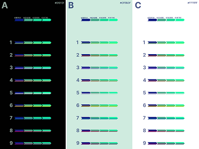 Rahko Color Palette Choices brand brand design brand identity branding client colors concept design design business flat freelance graphic design green palette ui ux vector