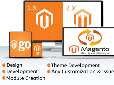 design and develop professional magento store for you