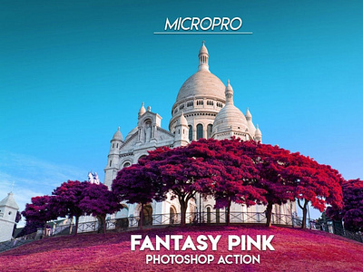 MicroPro Fantasy Pink Photoshop Action