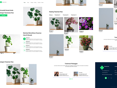 Leading page website decorative plants