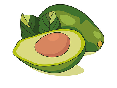 AVOCADO avocado design illustration vector