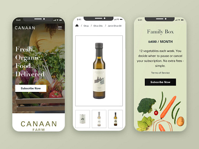 Canaan Mobile canaan concept design digital design ecommerce graphic design inspiration minimal mobile palestine responsive store web website