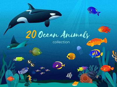 Ocean Animals Collection 2d animals aquatic asset concept design digital design fish graphic design illustration illustration art inspiration minimal ocean sales vector water