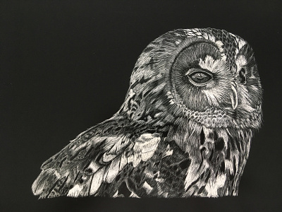 Owl art owl scratchboard sketch traditional traditional art