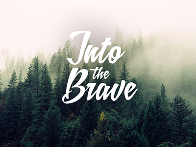 Into The Brave branding extreme sports logo skate surf typography