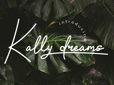 Kally dreams monoline font branding design display font font type lettering logo script script lettering typography