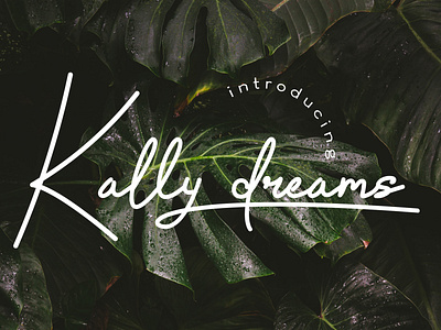 Kally dreams monoline font