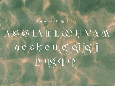 La Gagliane font aesthetic beige branding design display font font project font type logo luxury font modern font sans serif typedesign typeface typography