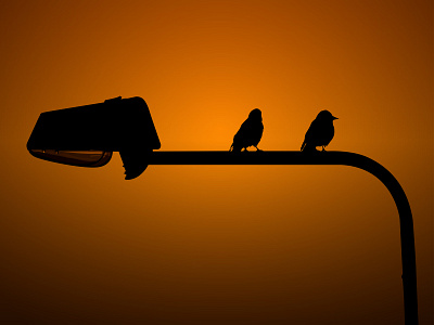 City's Sunset adobe illustrator bird darkness illustraion lamppost sunset vector