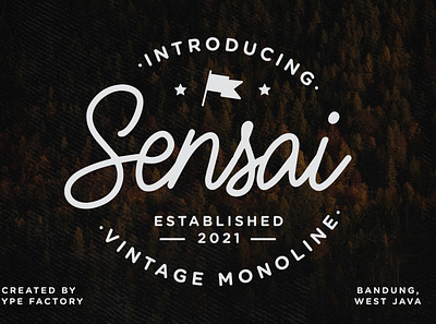 Sensai - Vintage Monoline Script 50s 79s 90s brandingcasual clean monoline script stationery vintage