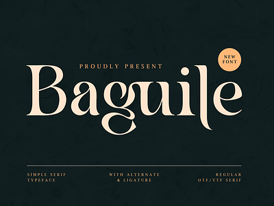 Baguile - Simple Serif Typeface branding display modern serif simple