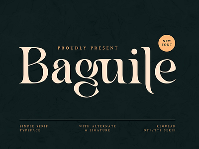 Baguile - Simple Serif Typeface