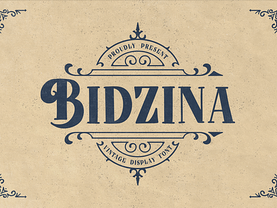 Bidzina – Vintage Display Font apparel branding casual display letterhead modern poster quotes retro vintage
