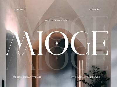 Mioge - Modern Display Typeface branding display elegant free font great luxury modern serif typeface