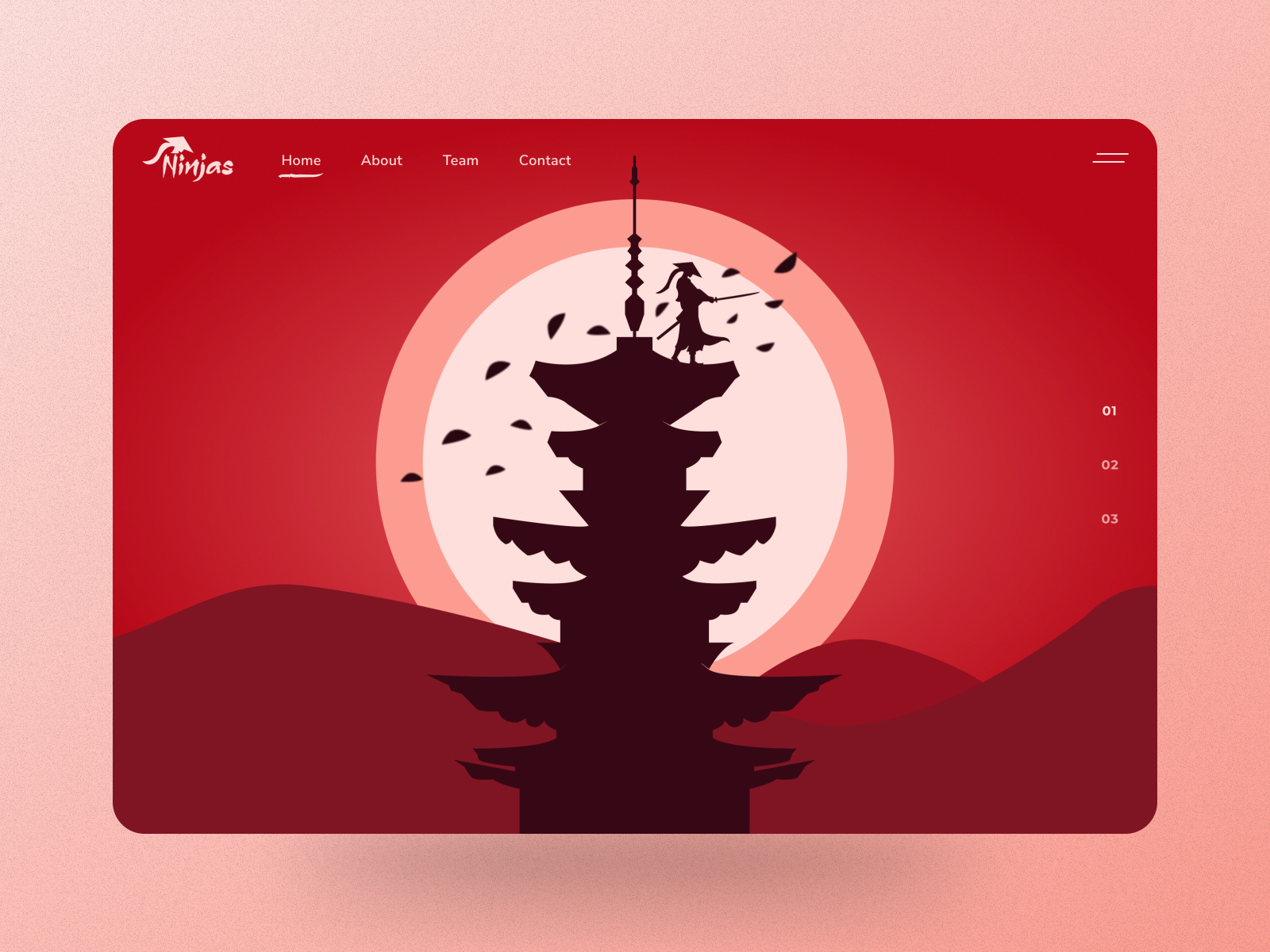 Ninja  Site Design by Alp Oğuz Karasu on Dribbble