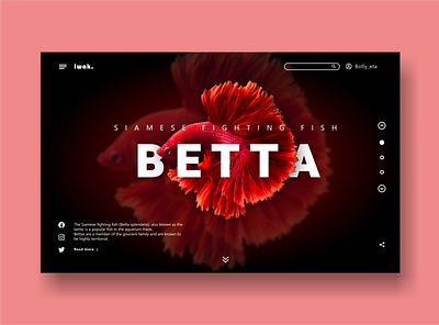 Betta fish website design app design ui ux web website