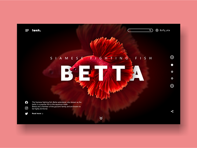 Betta fish website design