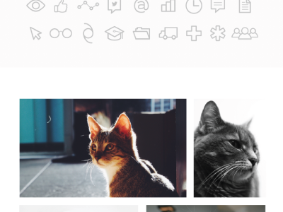 Placeholder Cats cats web design