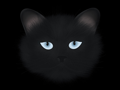 3D Black Cat