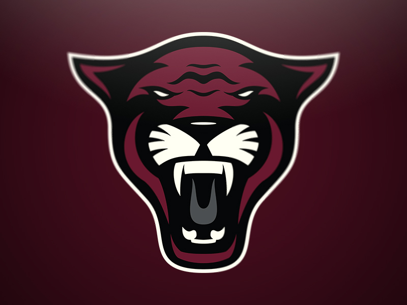 Wildcat by Jeff Smith on Dribbble