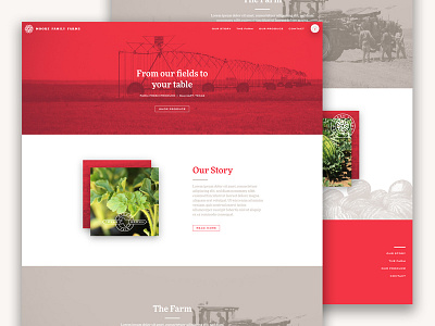 Moore Family Farms Website