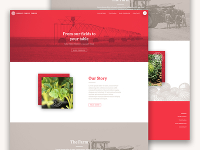 Moore Family Farms Website branding design experience farm logo red sprinkler texas ui ux website