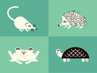 "Forest Friends" Animals animals childrens book illustration childrens books critters friendship frog hedgehog illustration mouse picture book illustration turtle vector