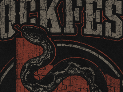 River City Rockfest - Rattlesnake apparel cracked festival rattlesnake rock shirt snake texas texture tshirt vintage