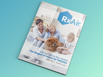 RxAir Whitepaper Design iconography illustrator indesign print whitepaper