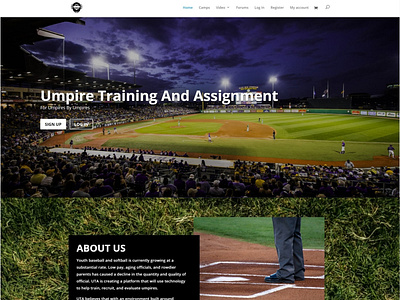 Umpire Training Site web design website website concept website design