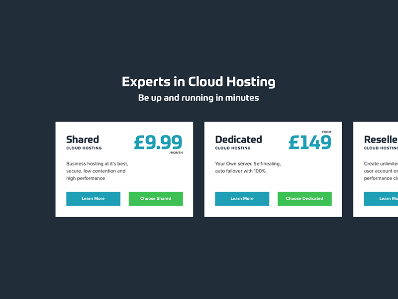 Snippet from a hosting package selection (WIP) cost off screen options packages hosting pricing